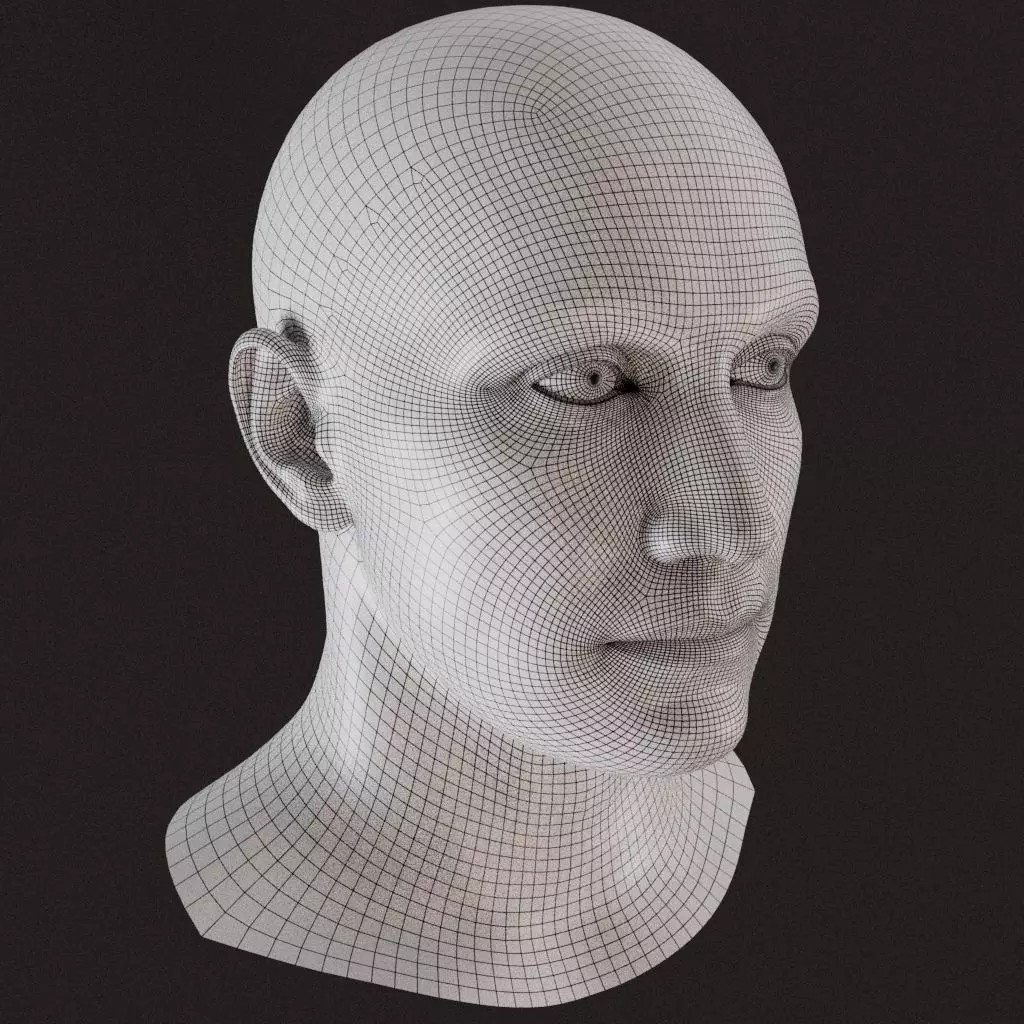 Male Head Free 3D model