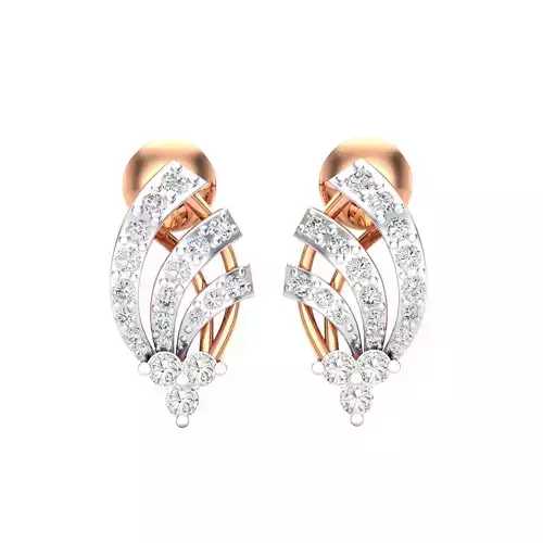 Women Earrings 3dm render detail