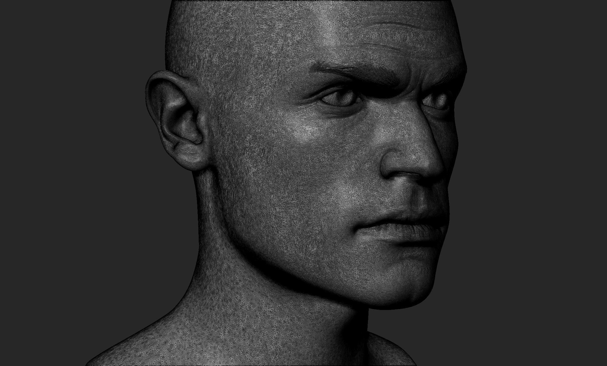 Male Head with Hair and Beard 3D model_15