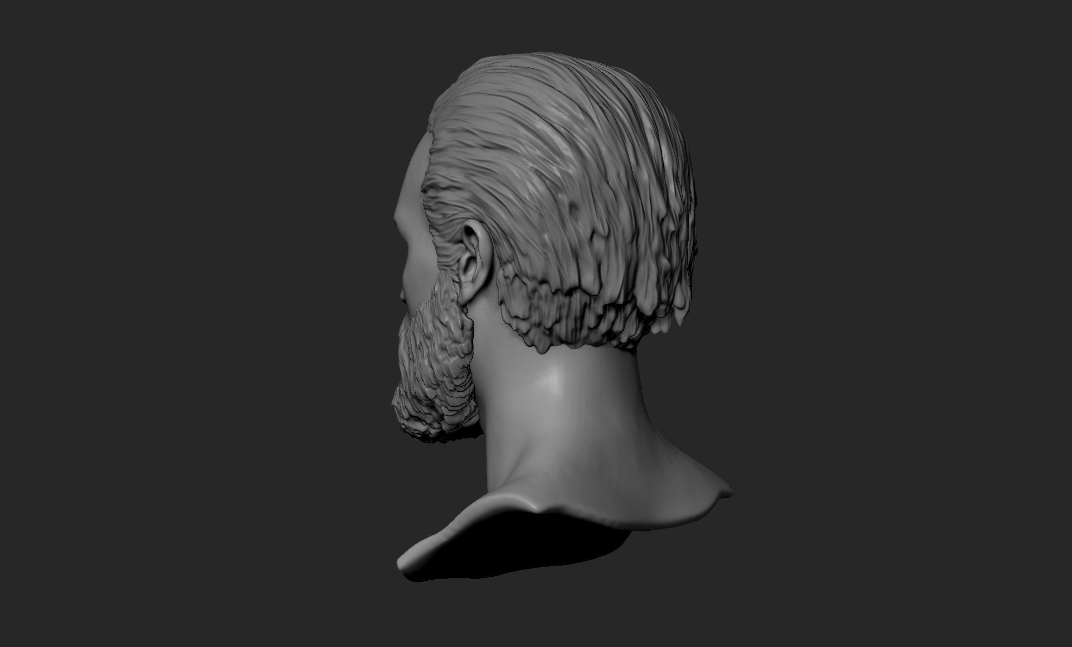 Male Head with Hair and Beard 3D model_7
