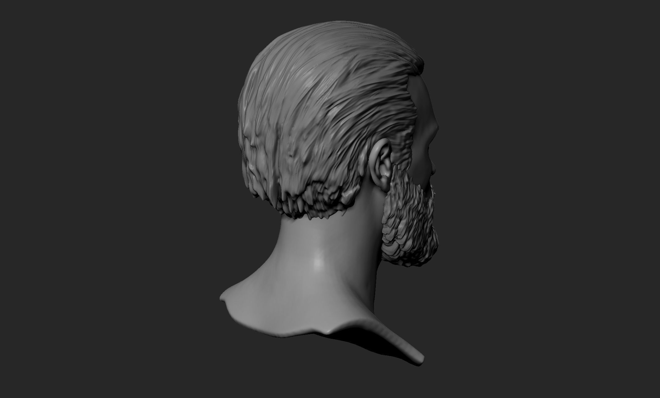 Male Head with Hair and Beard 3D model_5