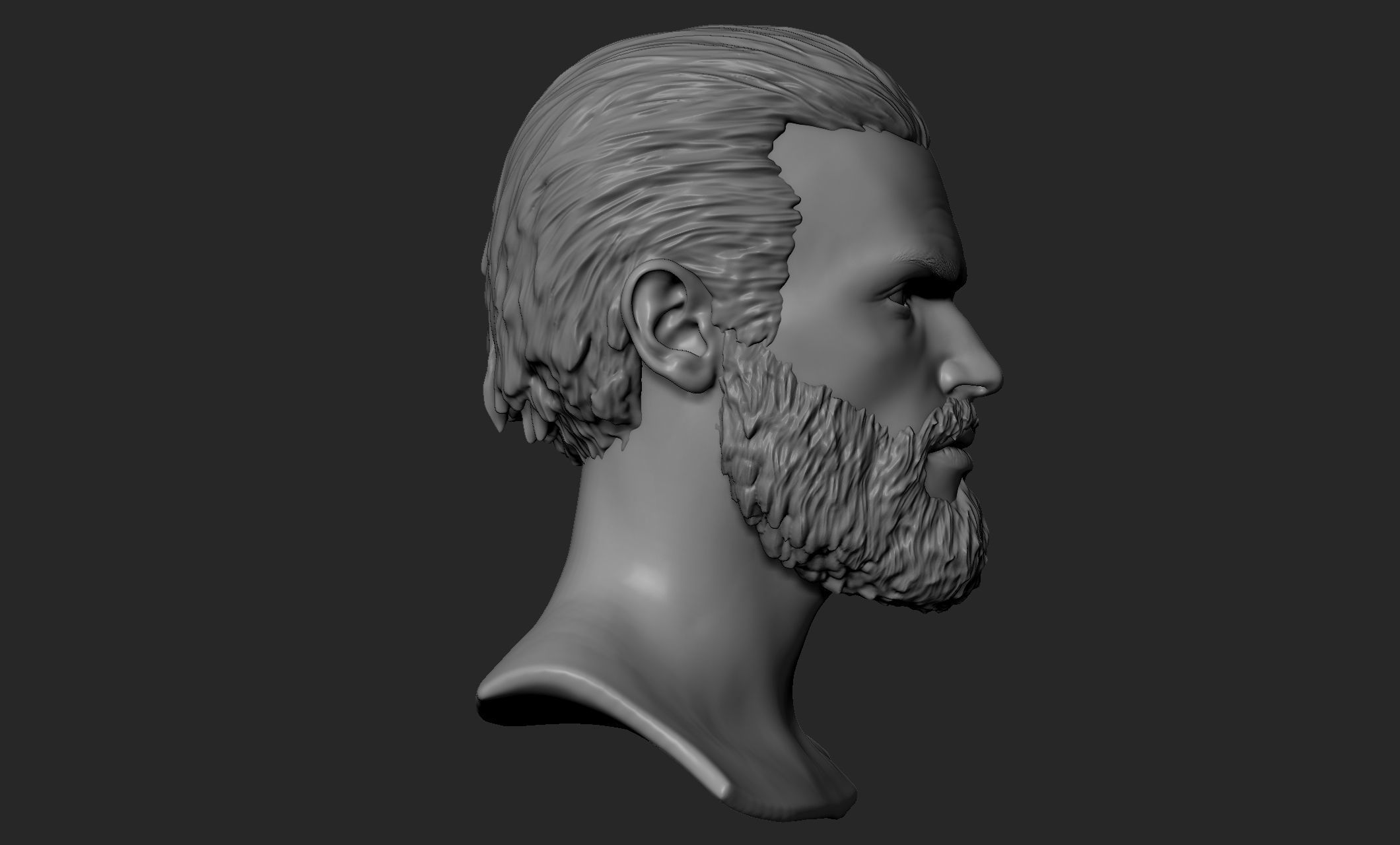Male Head with Hair and Beard 3D model_4