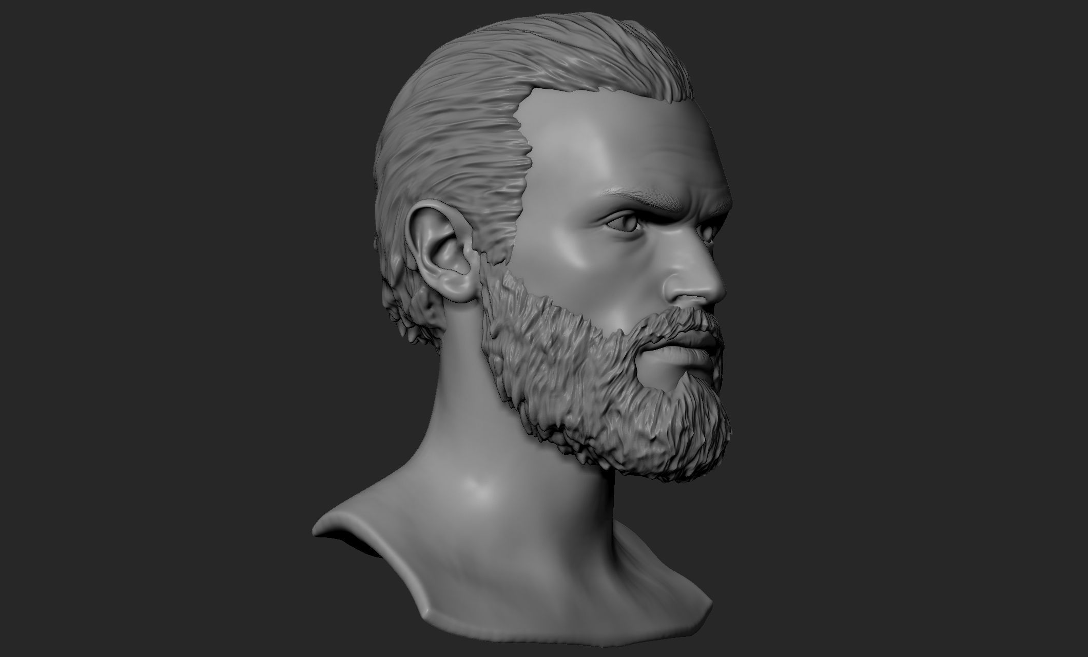 Male Head with Hair and Beard 3D model_3