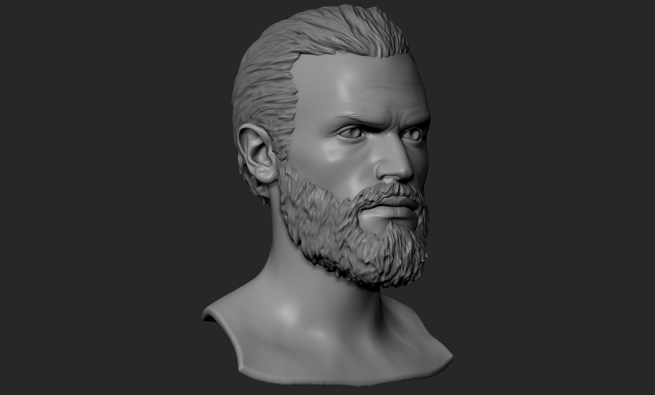 Male Head with Hair and Beard 3D model_2