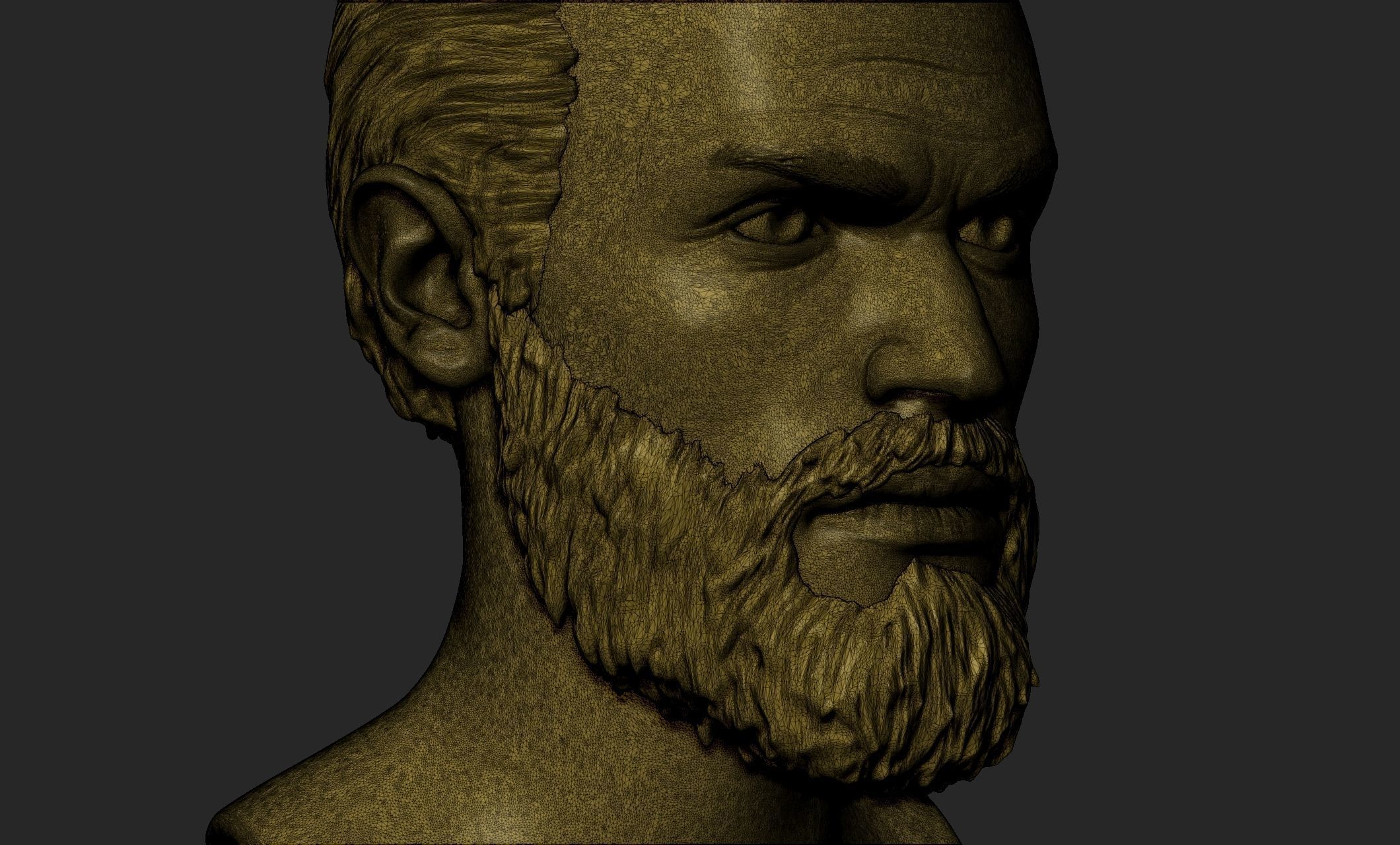 Male Head with Hair and Beard 3D model_14