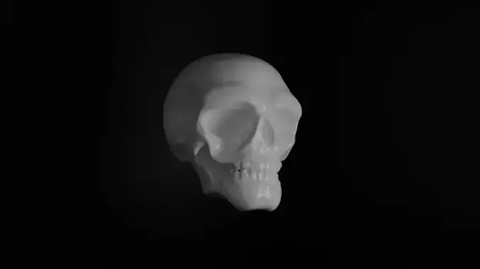 SKULL 3D print model