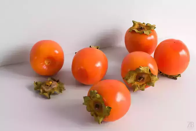 Persimmon 3D model