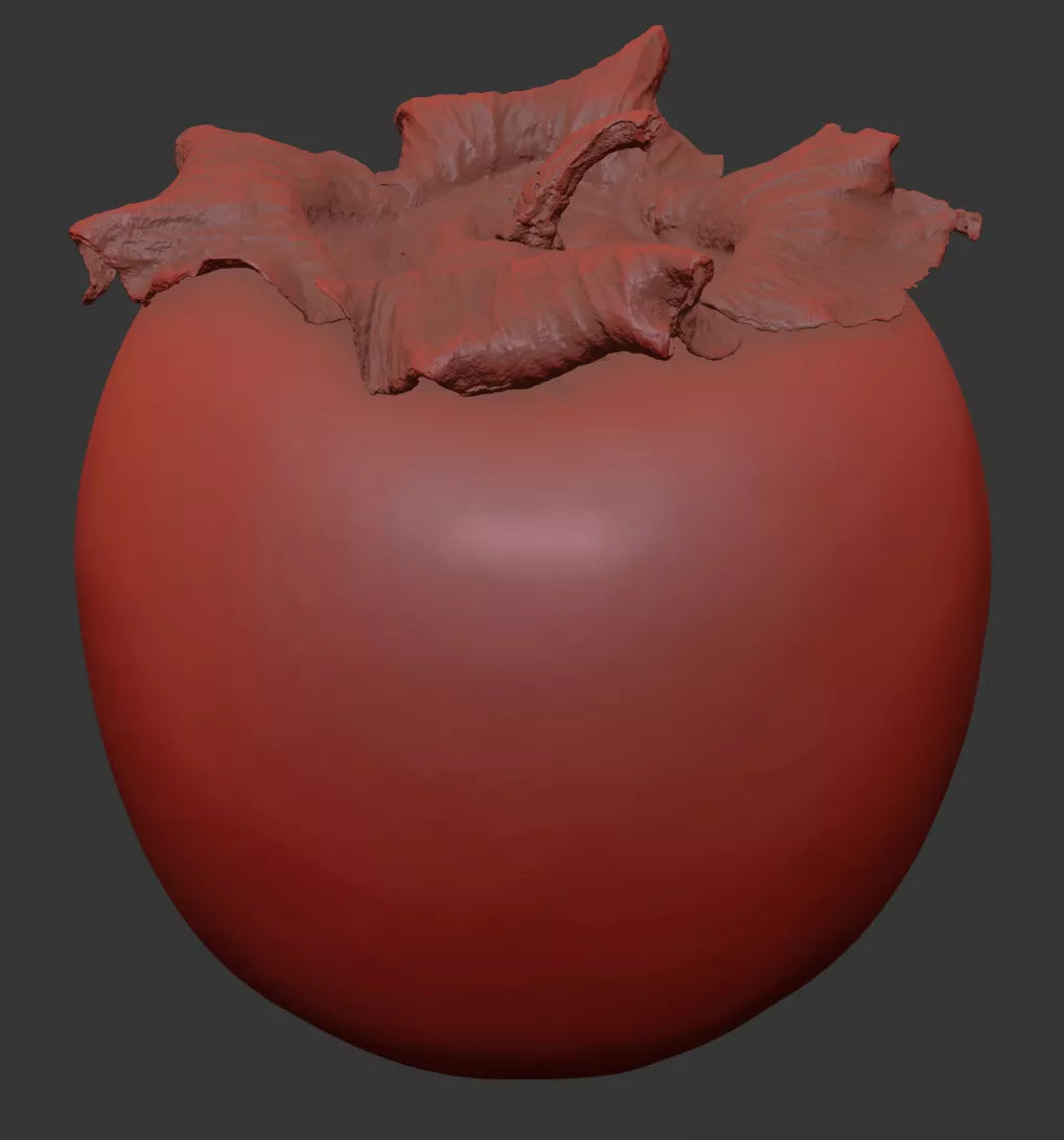 Persimmon 3D model_7