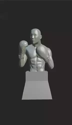 men torso boxer torso boxer