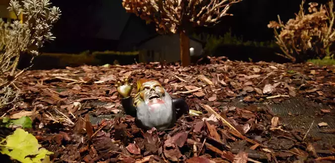 Zombie Gnome