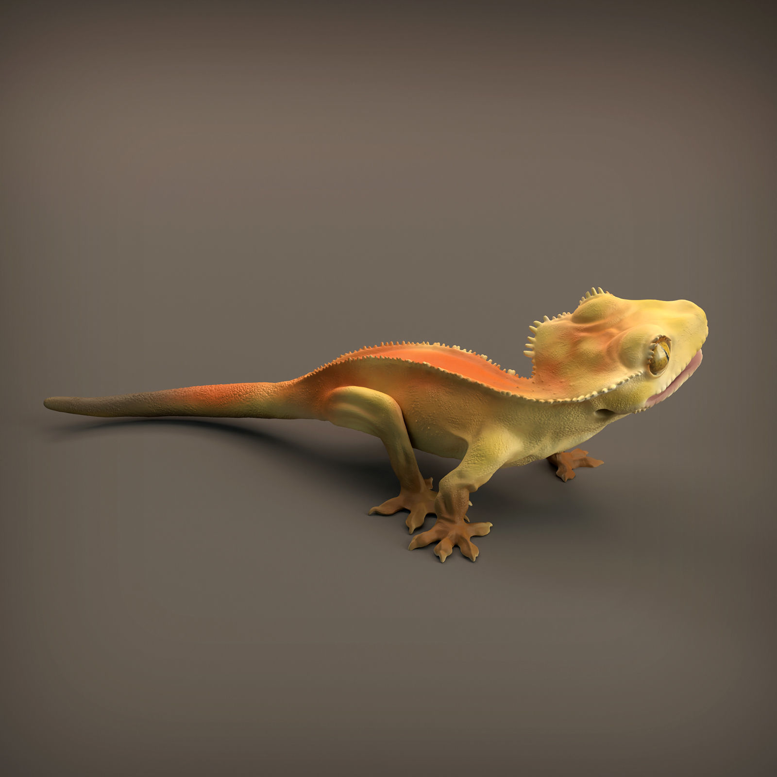 Crested Gecko for 3D Printing 3D print model_2