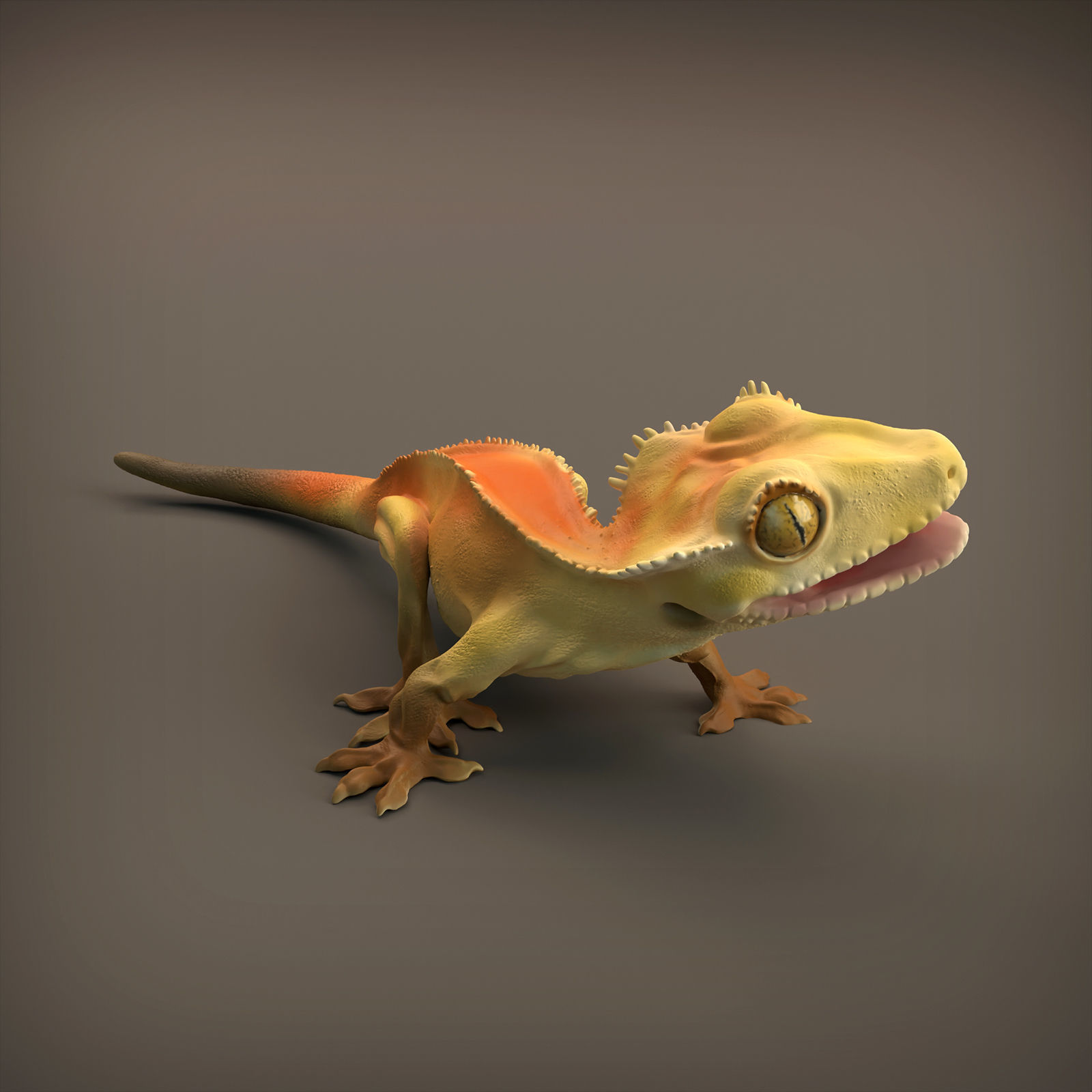 Crested Gecko for 3D Printing 3D print model_1