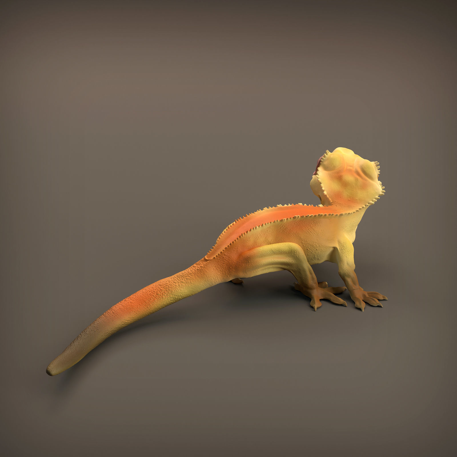 Crested Gecko for 3D Printing 3D print model_3