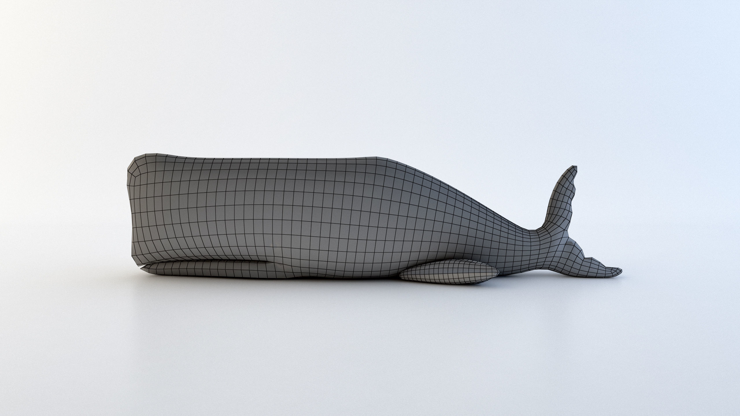 Plush Whale Low-poly 3D model_6