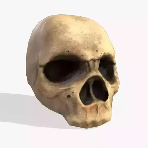 Skull head - Game Ready Low-poly 3D model