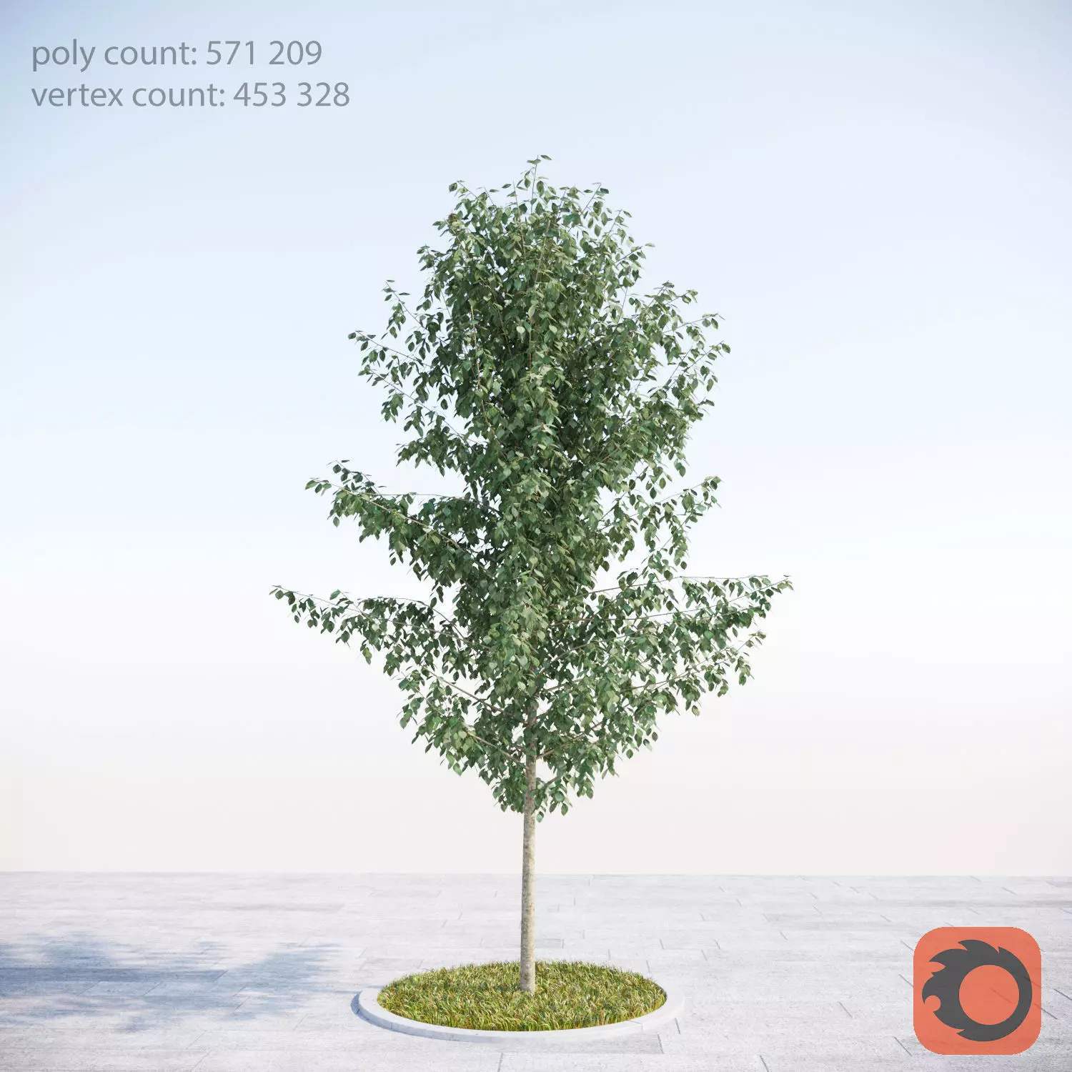 Realistic American Elm Young Animated Free 3D model