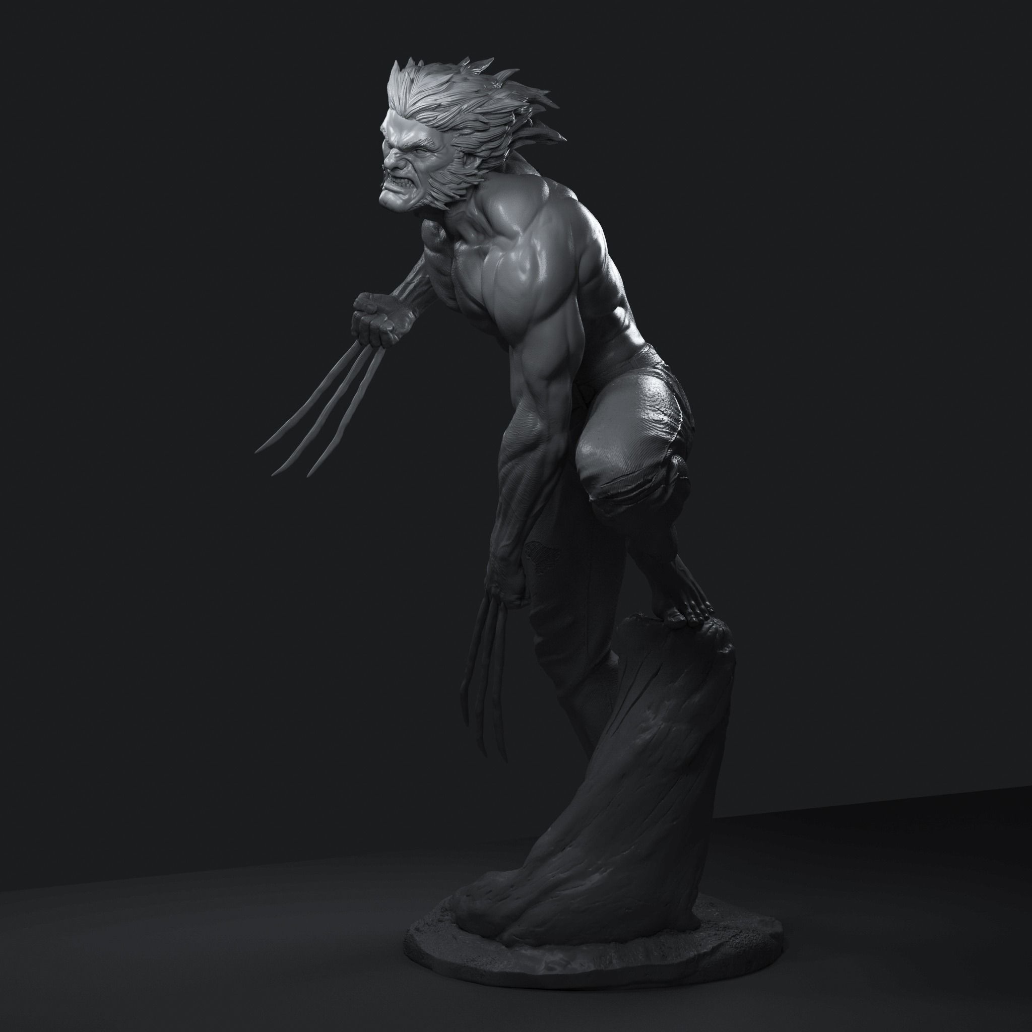 WOLVERINE  3D print model LOGAN  3D print model_6