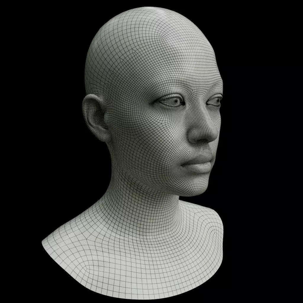 Female head Free 3D model_0