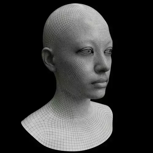 Female head Free 3D model