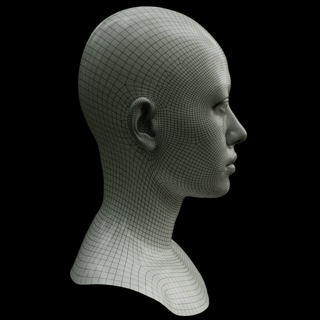 Female head Free 3D model_1