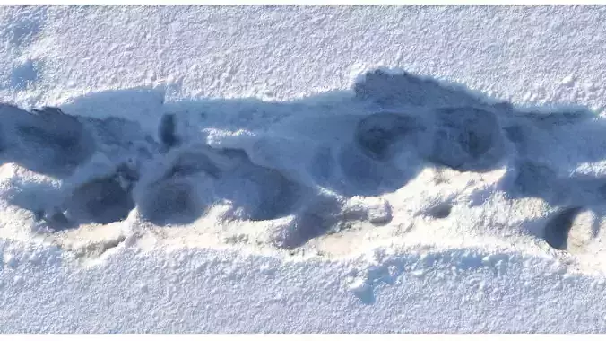 Winter snowpath 03- 6 meters 3D model
