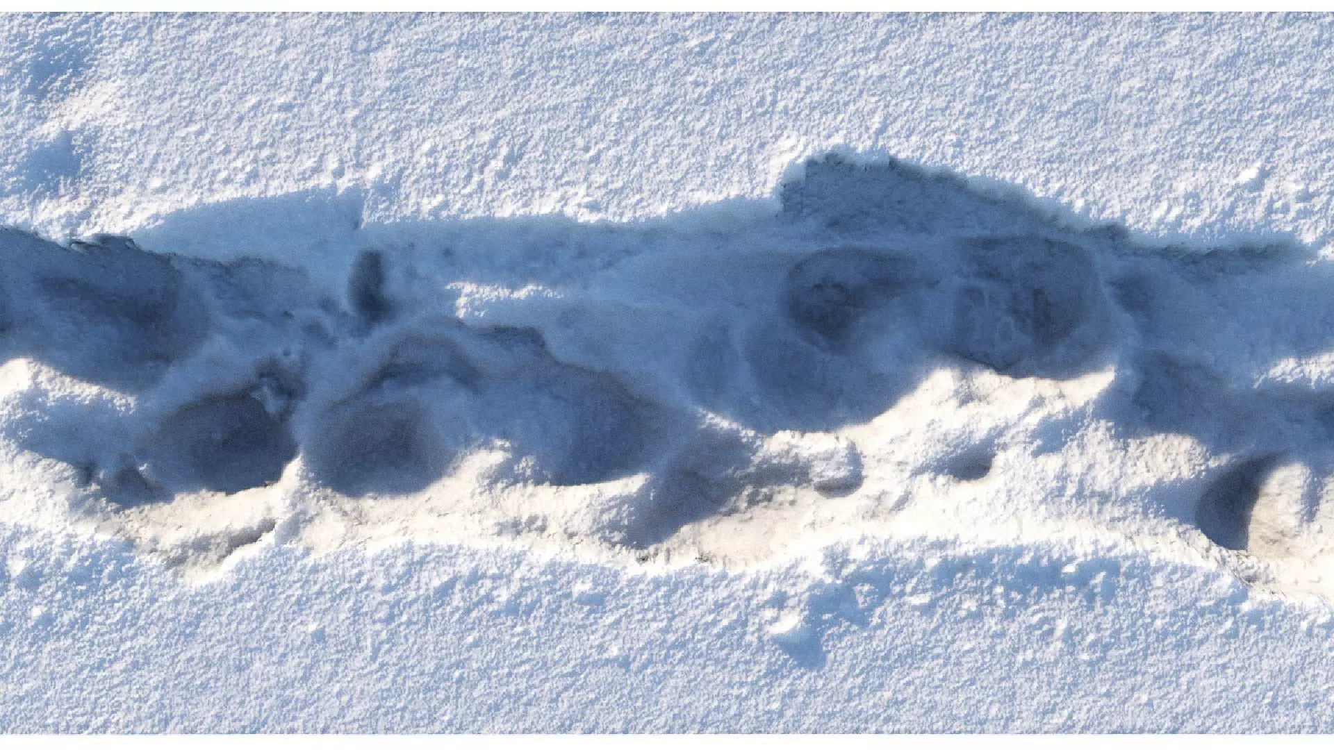 Winter snowpath 03- 6 meters 3D model_0