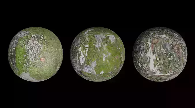 3 Surface of Stone Moss set 3D model