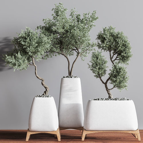 indoorplantset21 three planters 3D model