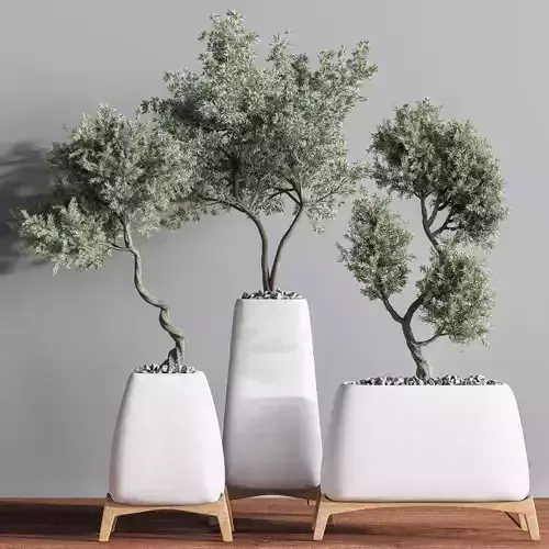 indoorplantset21 three planters