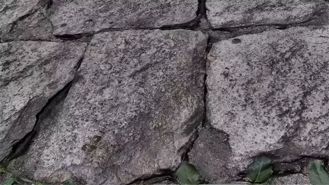 Stone Wall with Leaves