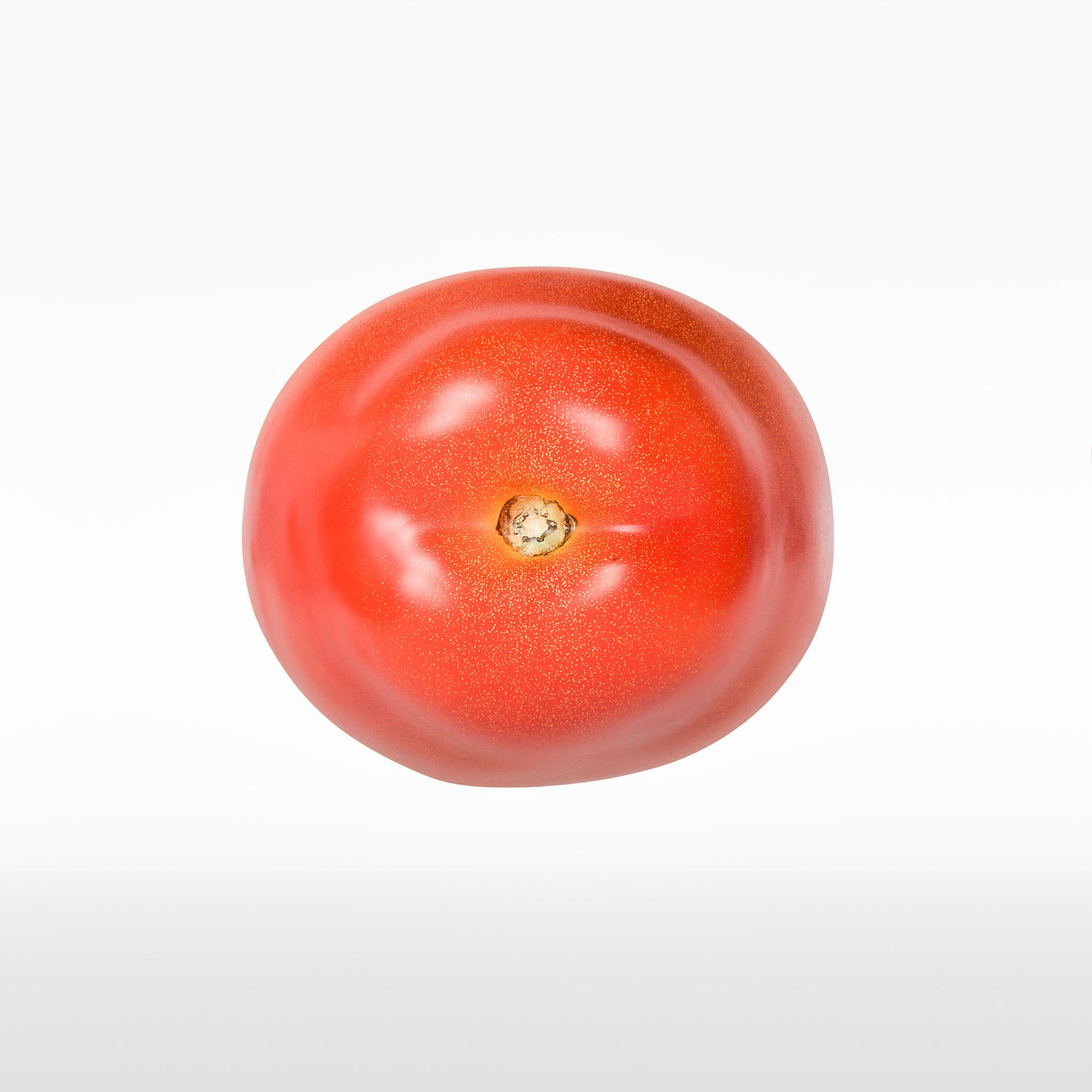 Tomato 3D model_6
