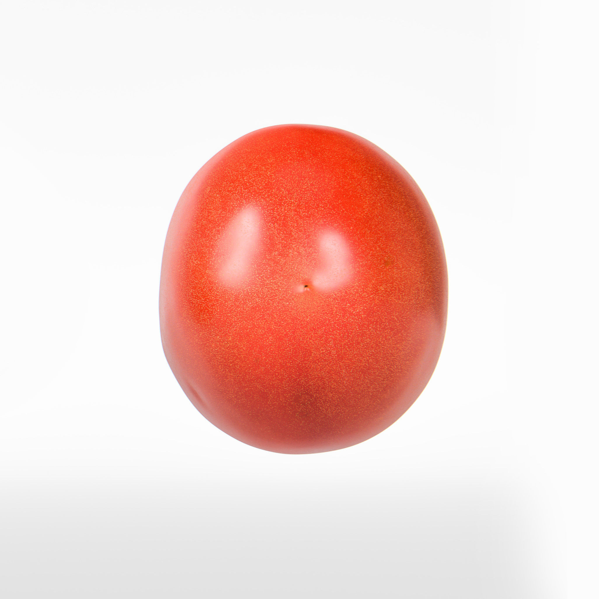 Tomato 3D model_8