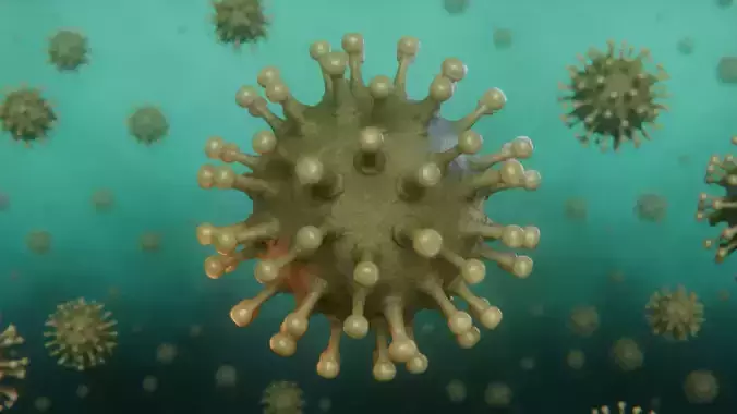Virus Model coronavirus