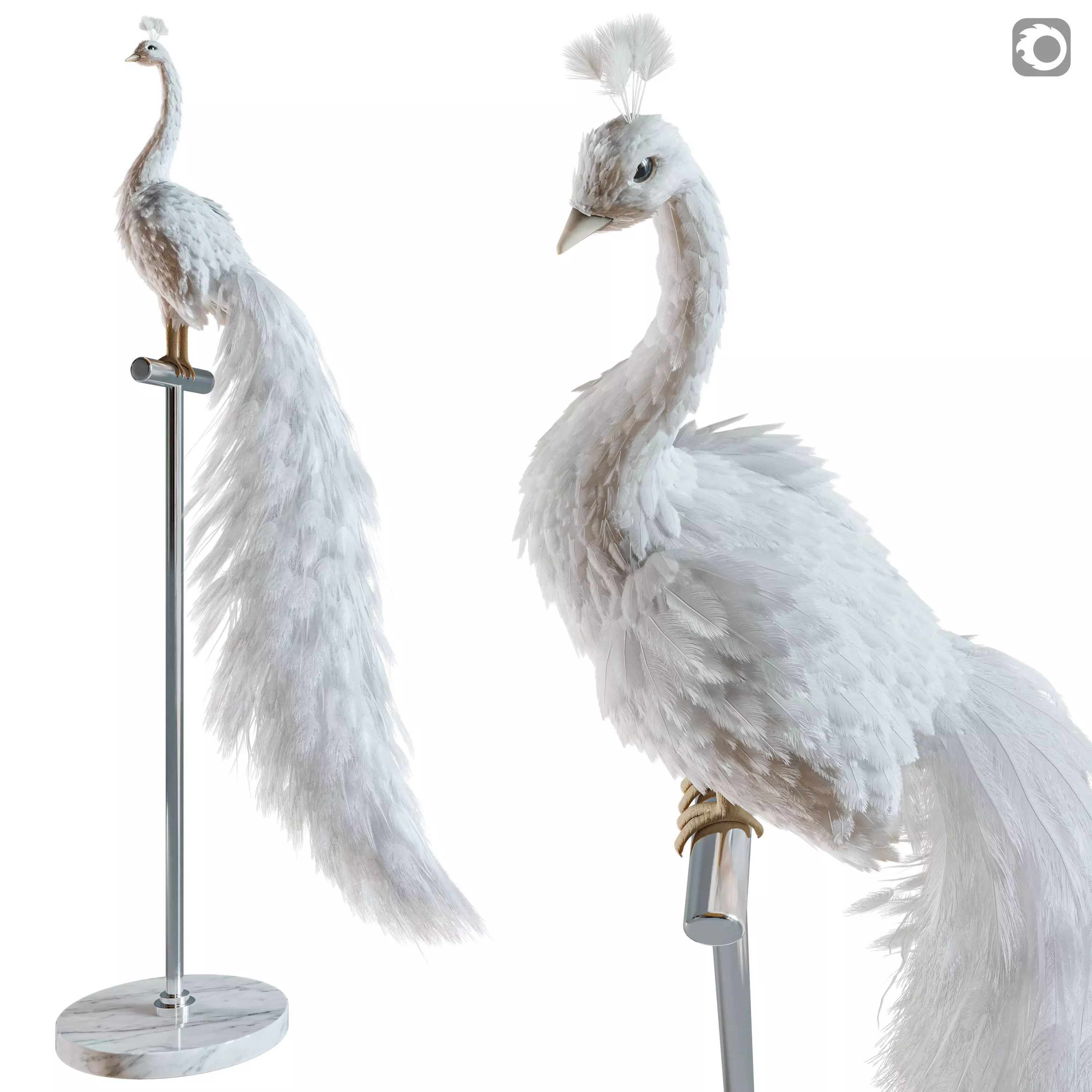 Artificial White Peacock 01 3D model