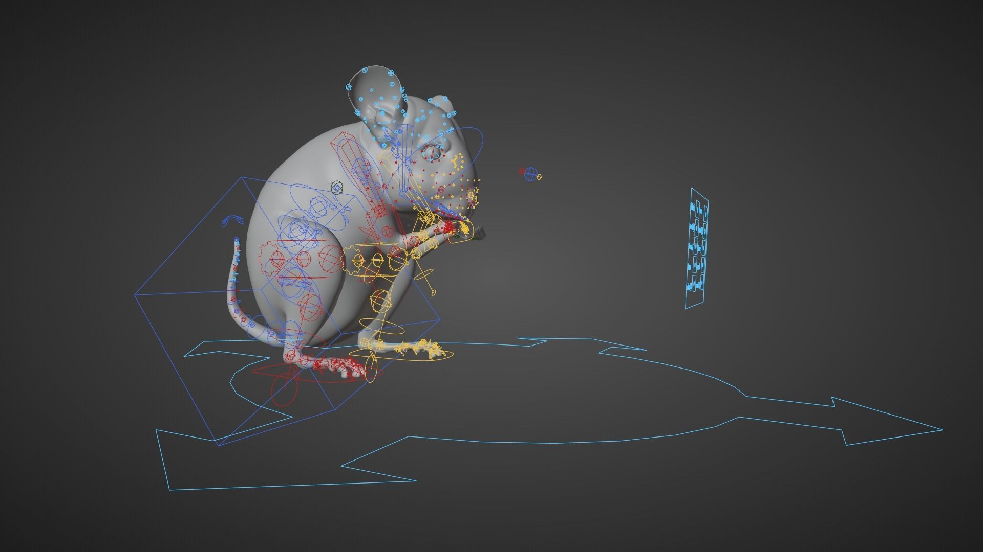 Chinchilla Rigged VFX Grace 3D model_13