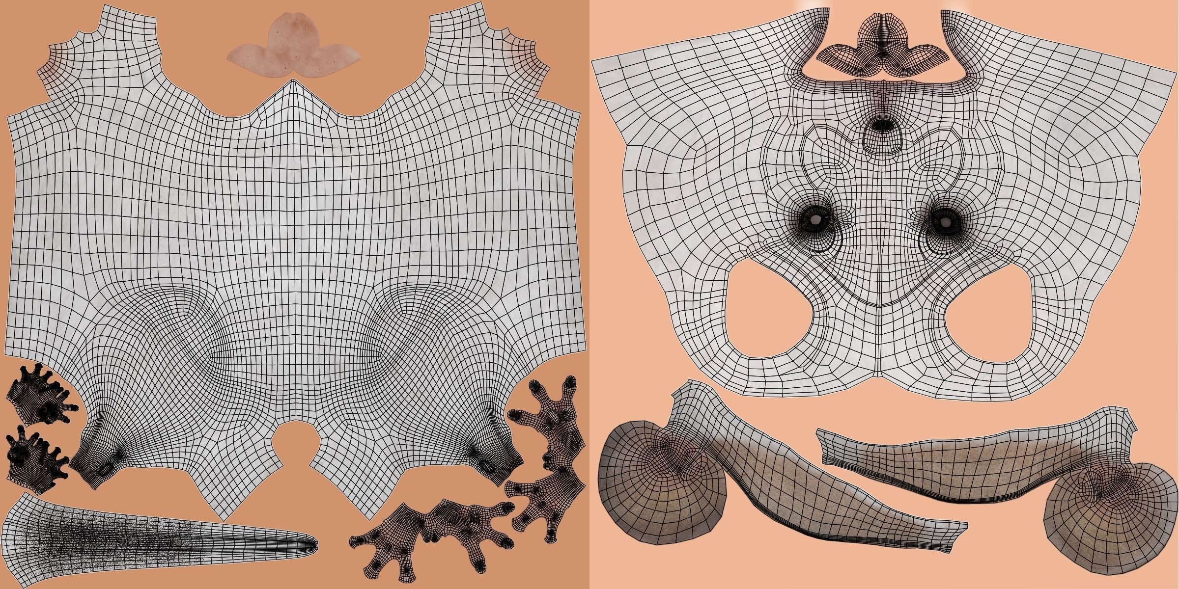 Chinchilla Rigged VFX Grace 3D model_18