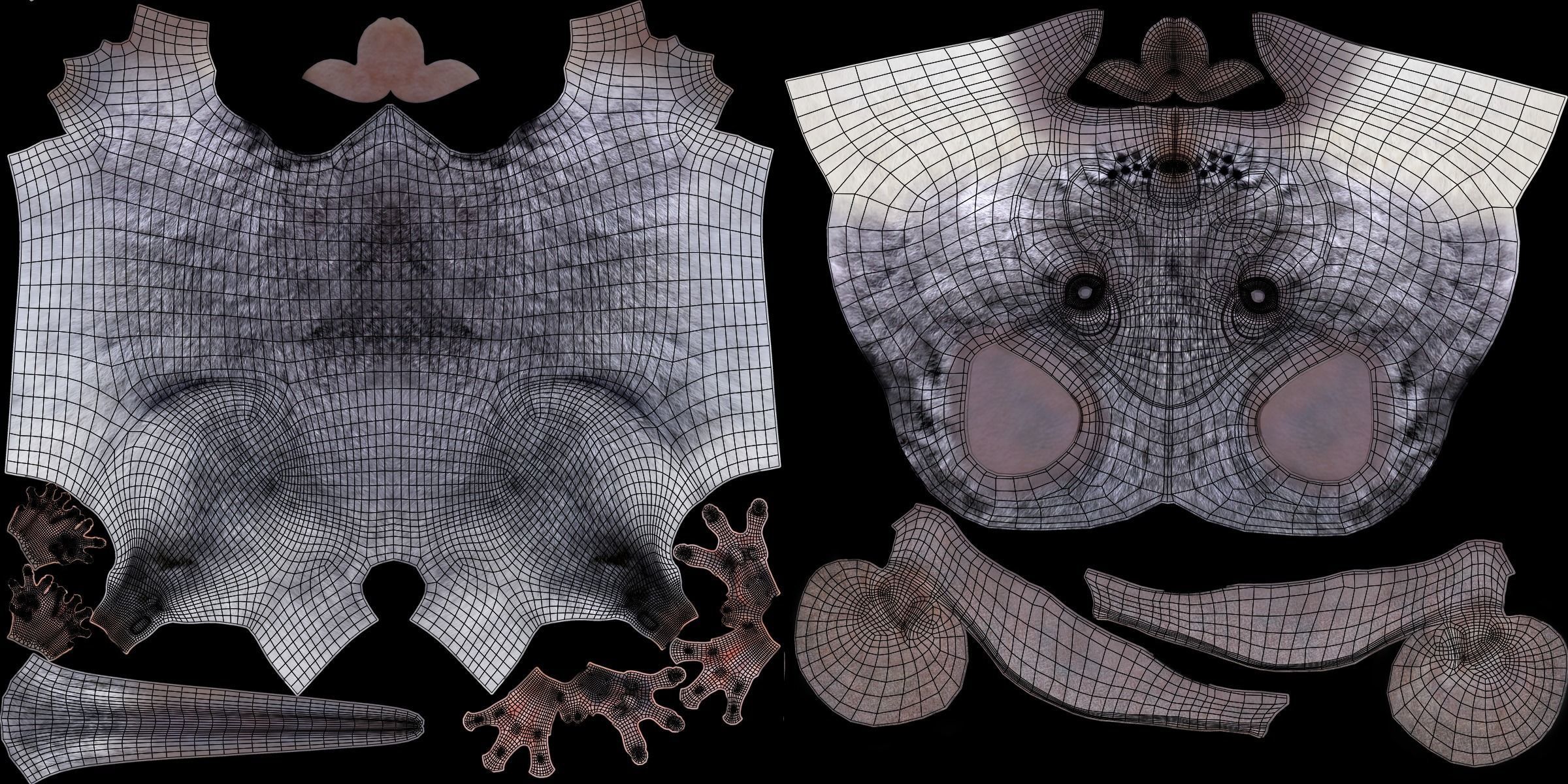 Chinchilla Rigged VFX Grace 3D model_21