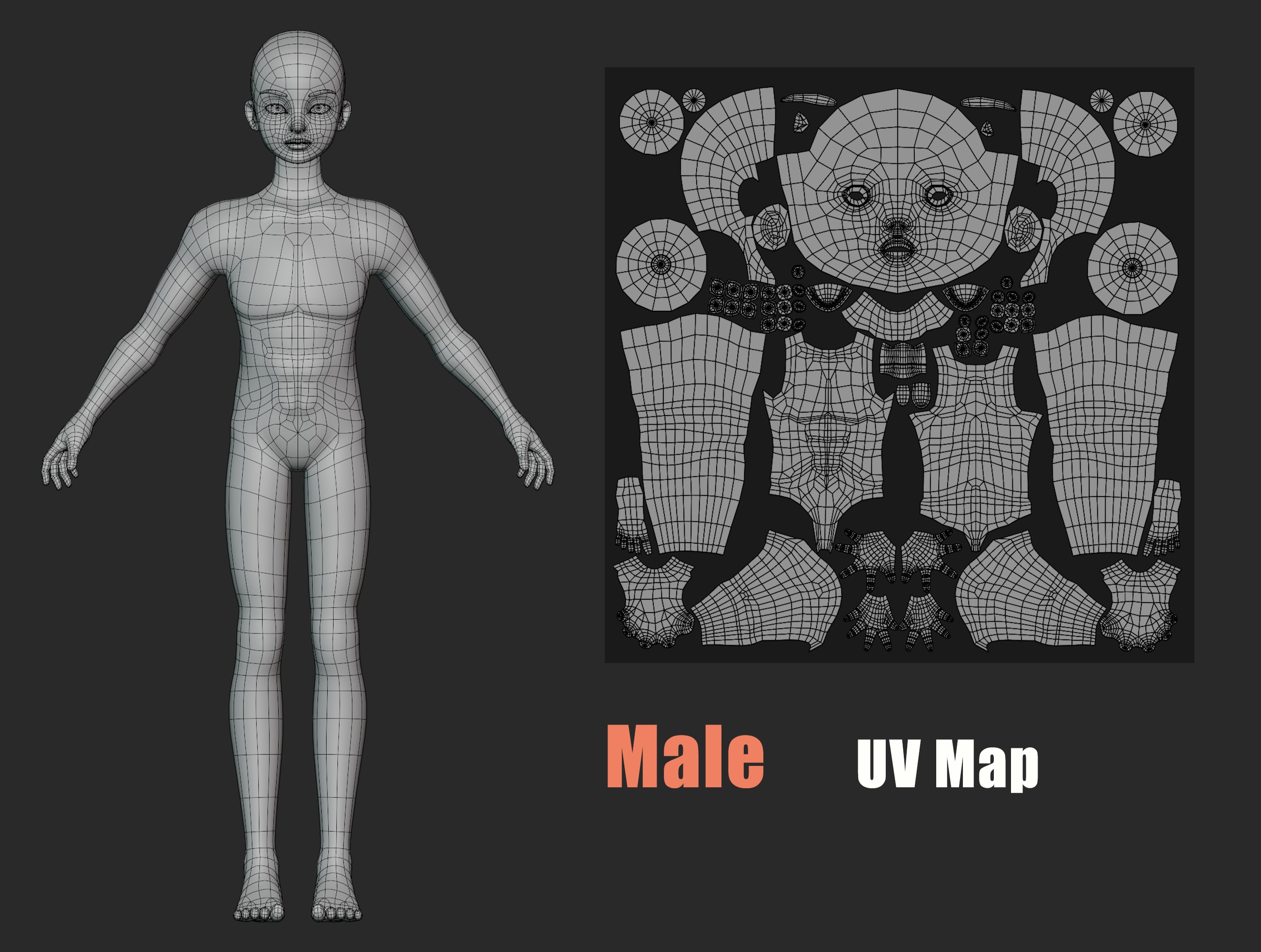 Lowpoly Stylized Character Base 3D model_10