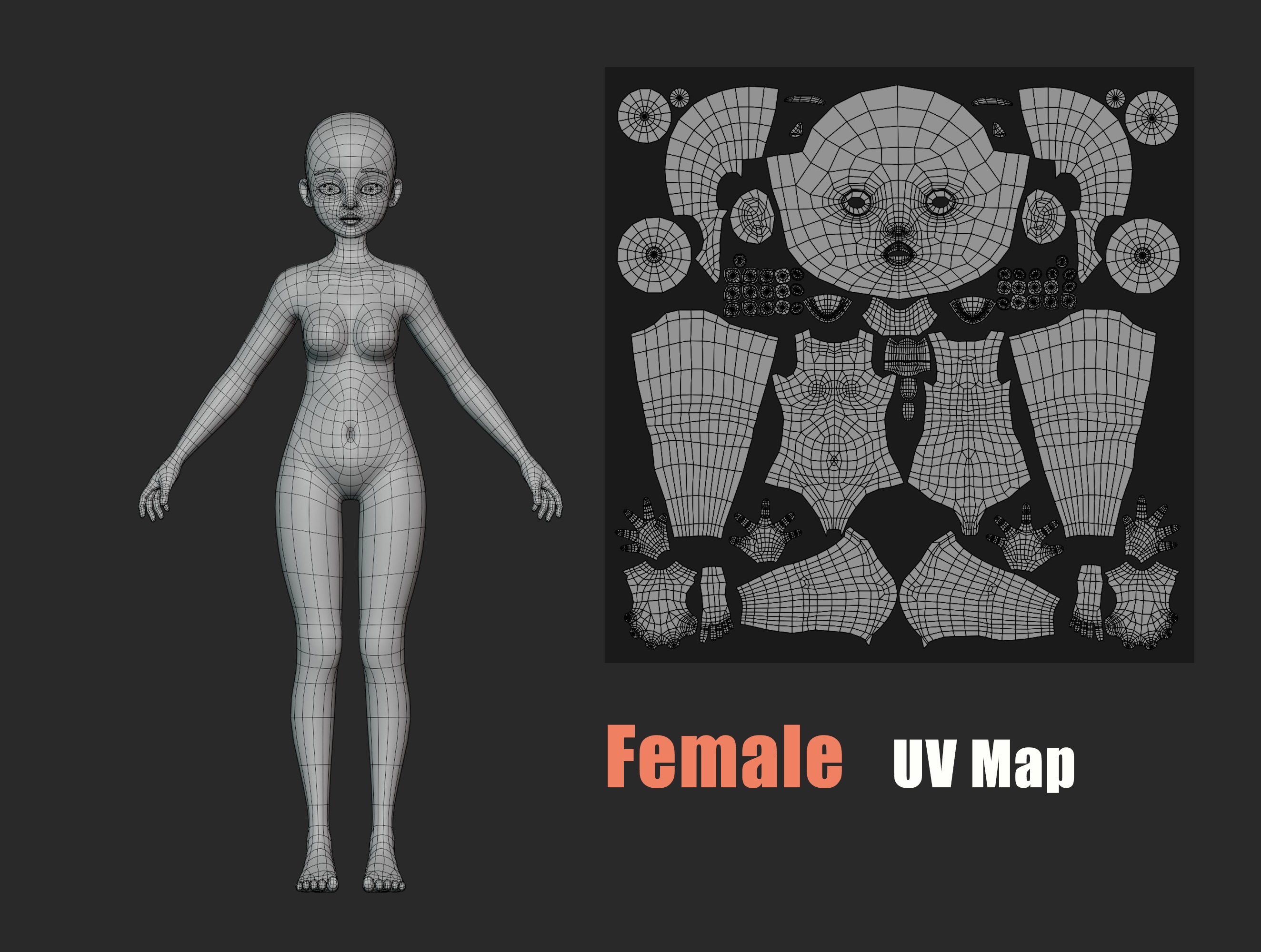 Lowpoly Stylized Character Base 3D model_9