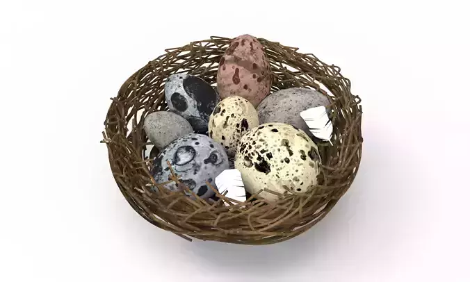 Bird Nest 3D