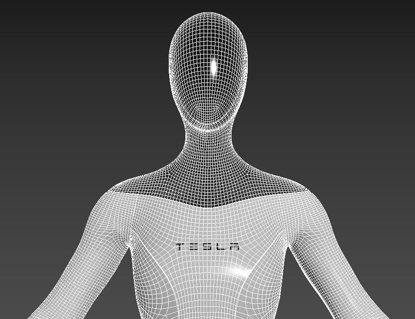 Tesla bot - female version concept Low-poly 3D model_10
