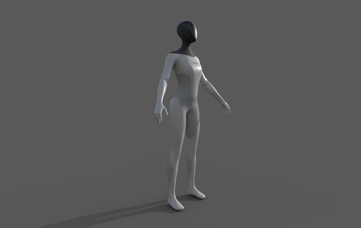 Tesla bot - female version concept Low-poly 3D model_2