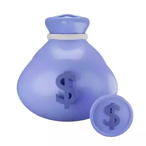 Dollar Bag or Money Bag