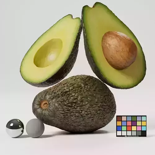 Avocado 3D model
