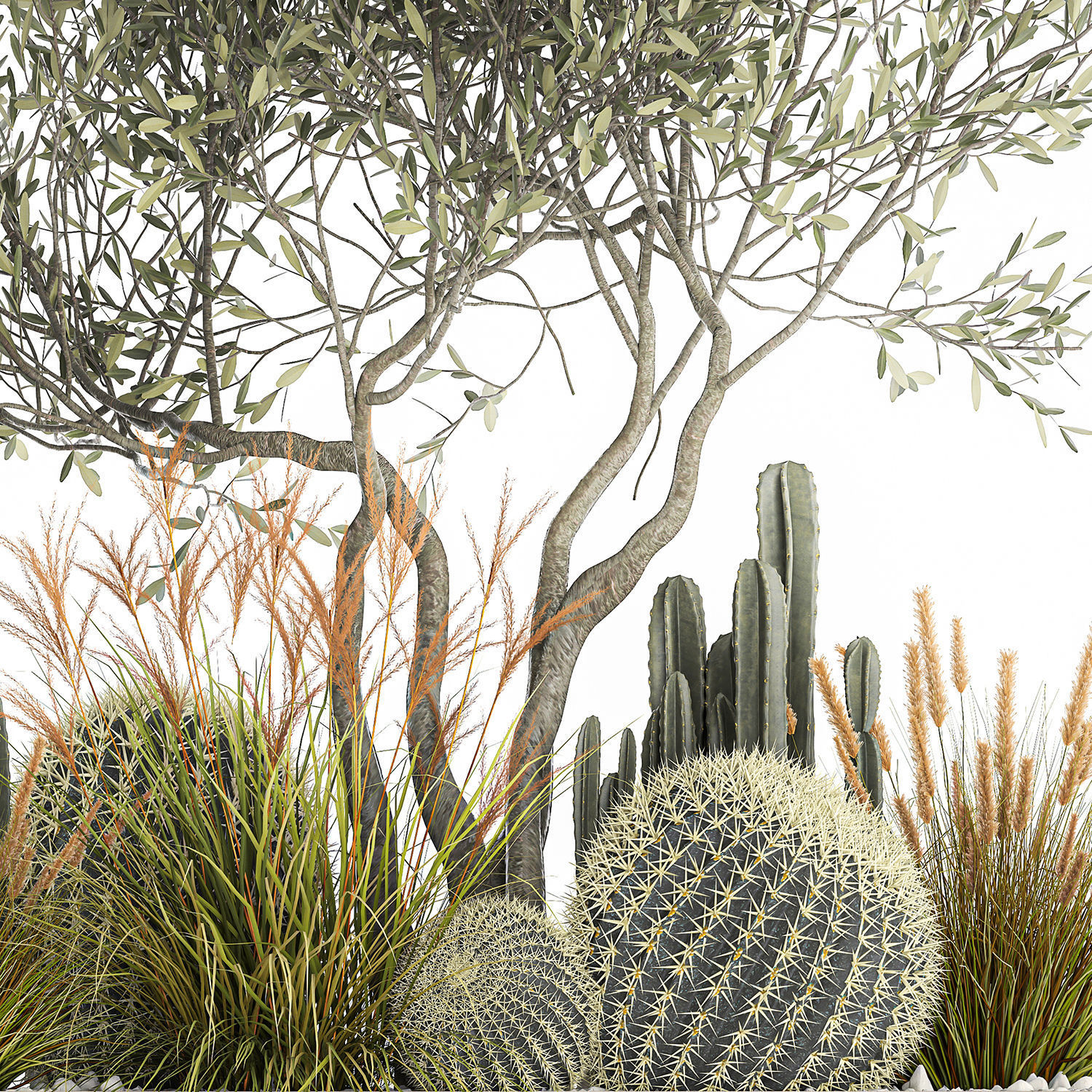 Cactus set in a flowerpot landscaping Olive tree 1105 3D model_6