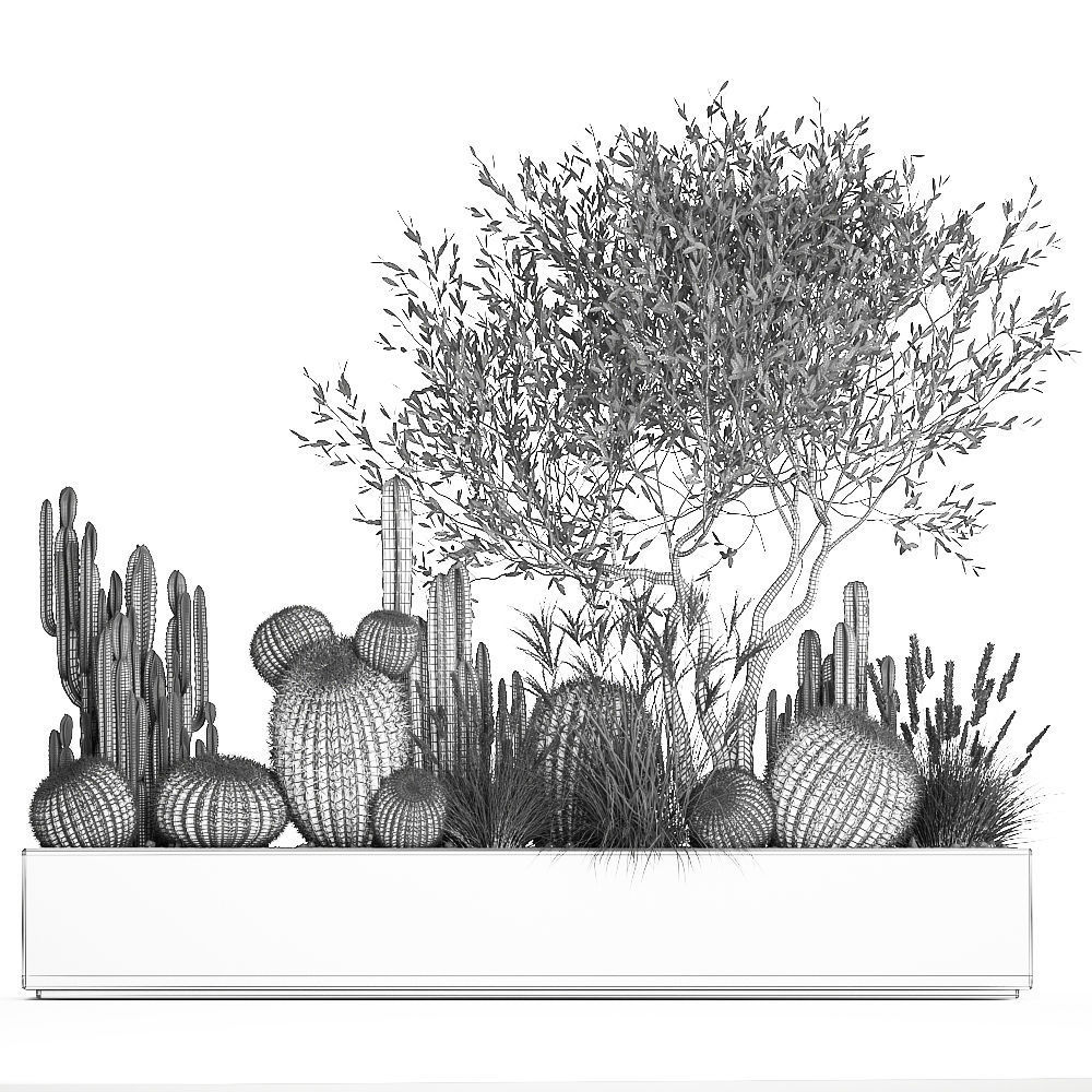 Cactus set in a flowerpot landscaping Olive tree 1105 3D model_8
