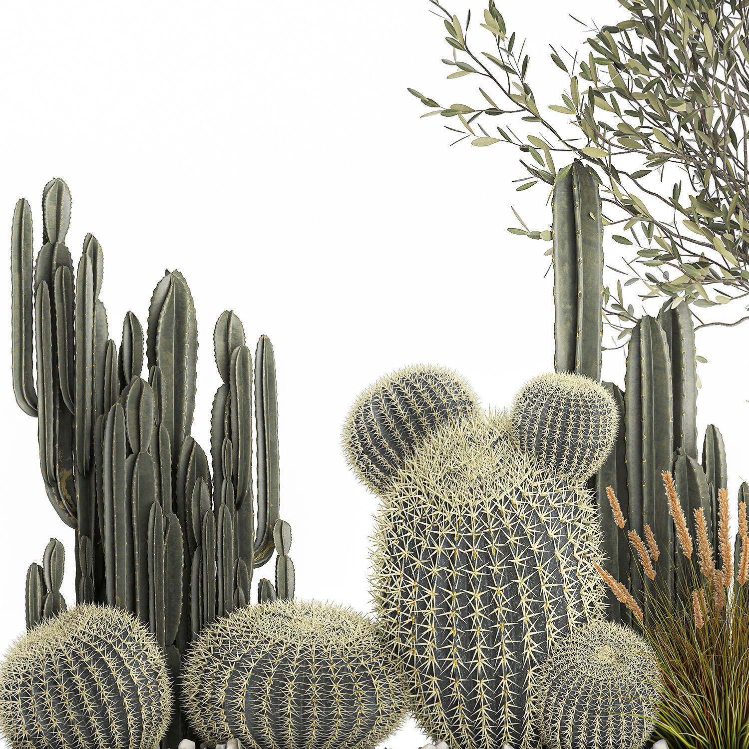 Cactus set in a flowerpot landscaping Olive tree 1105 3D model_5