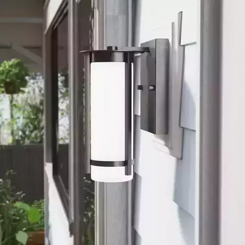 Leiser Graphite Frosted Glass Outdoor Armed Sconce