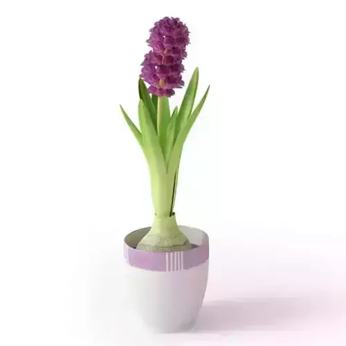 Purple Potted Flower