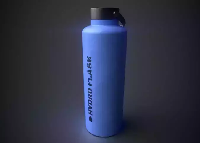 Metallic Water Bottle